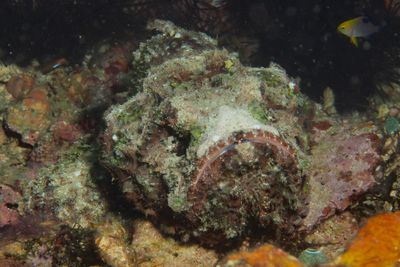 PA179008.JPG