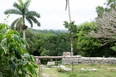 View from Hemingway's House