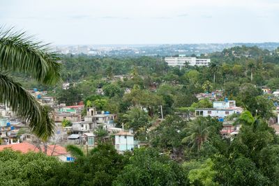 View from Hemingway's House