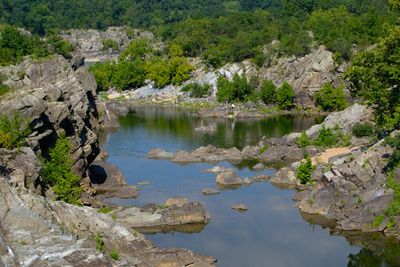 Along the C&O Canal near Great Falls