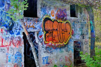DSCF4296.jpg