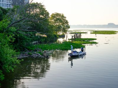Dyke Marsh
