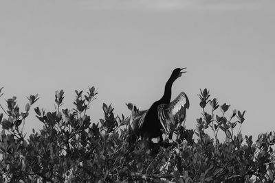 g13/77/588477/3/173235563.ba1ac19e.JPEG