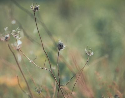 g13/77/588477/3/174665026.cf9577c5.JPEG