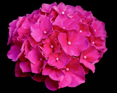 g13/77/588477/3/174840431.8f95a0eb.JPEG