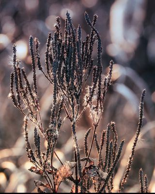 g13/77/588477/3/175003433.1595d9c1.JPEG