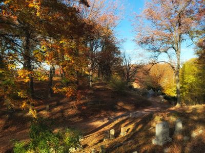 Mt Hope Cemetery in Rochester 