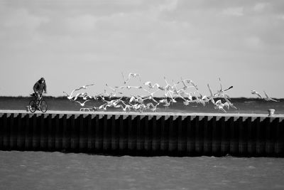 g13/77/588477/3/175085475.5d17f10d.JPEG