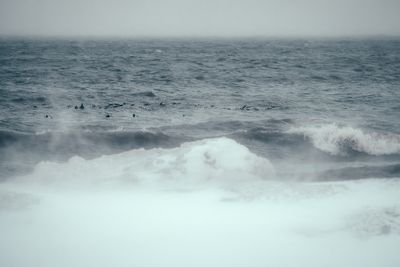 g13/77/588477/3/175248761.aee680b6.JPEG