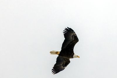 g13/77/588477/3/175283588.7da85d9f.JPEG