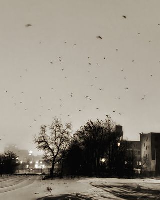 2025 Picture a Day