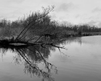 2025 Picture a Day