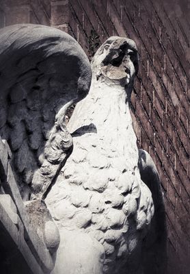g13/77/588477/3/175606975.a7eb49ad.JPEG