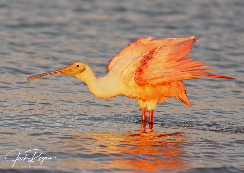 Sunrise stretch!