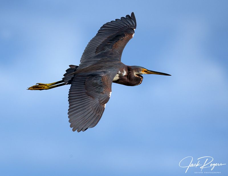 Topside view