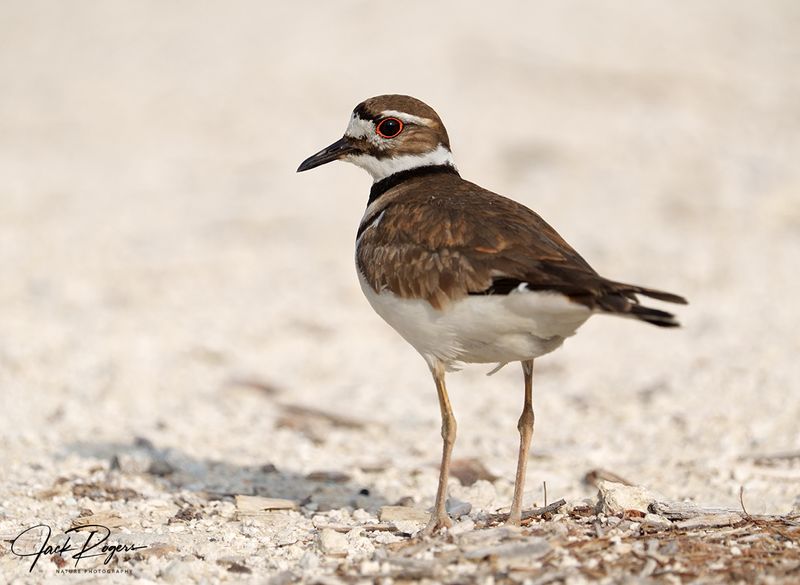 Hanging around the parking lot