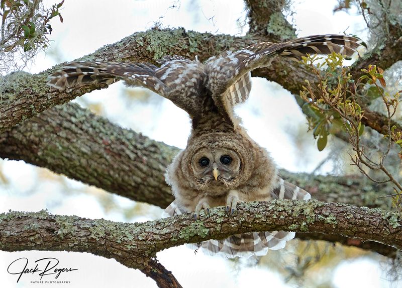More stretching!