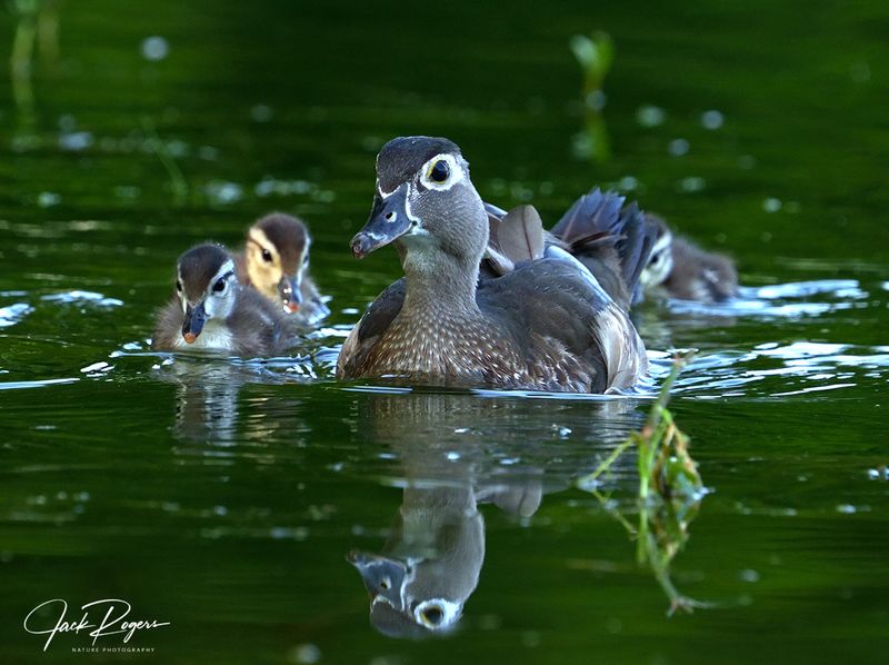Family outing!