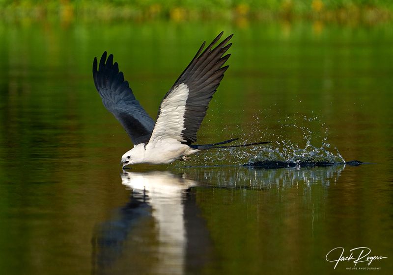 Skimming!