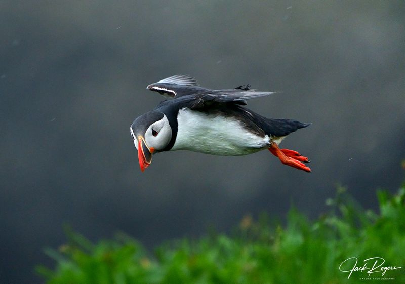 Into the wind!
