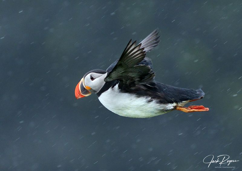 Hovering!