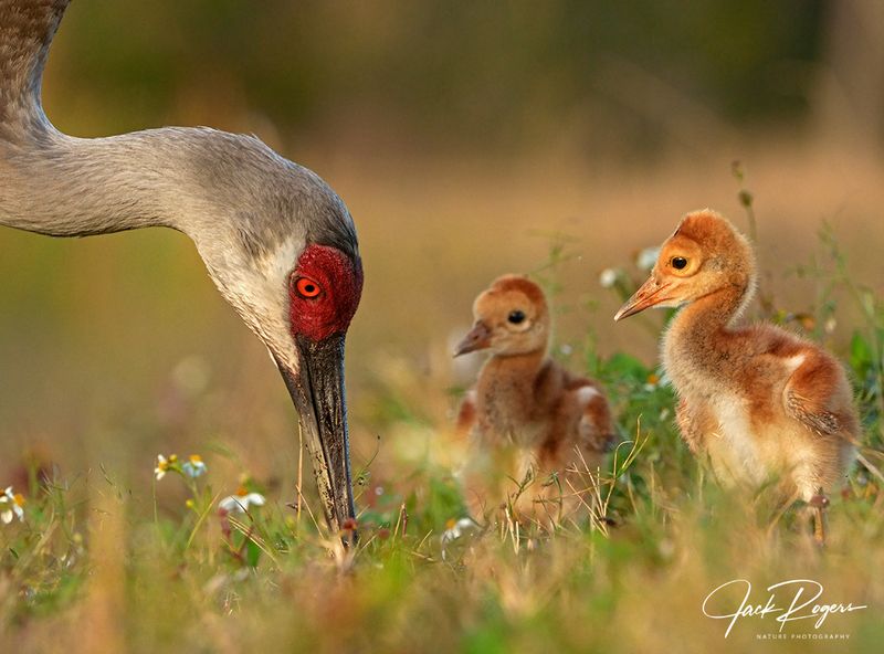 Paying close attention