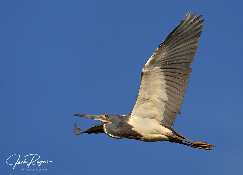 Flyby!