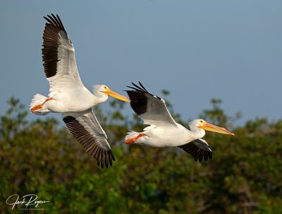 Arriving together