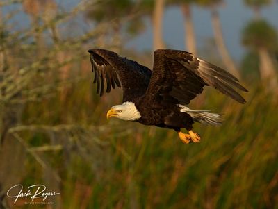 Flyby!