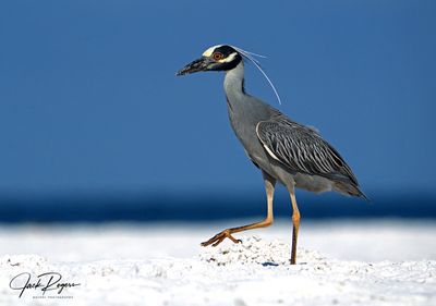 Walk on the beach