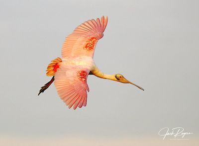 Circling in for a landing