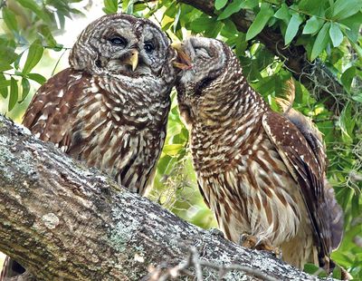 Papa loving up on Mom