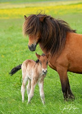 Mom and junior