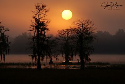 Sunrise at the wetlands
