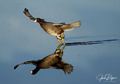 Walking on water!
