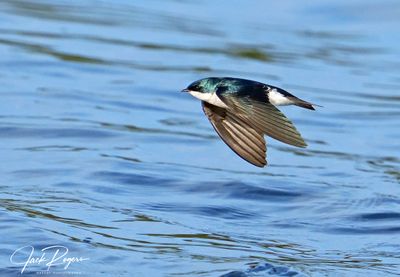 Skimming the surface
