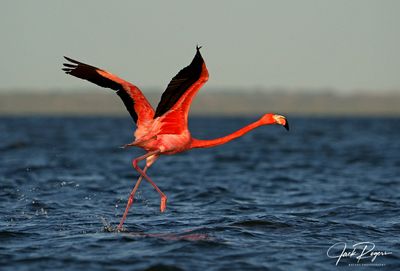 Take off!