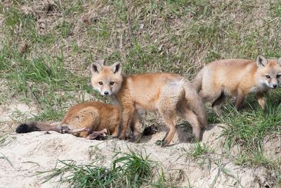 DSC_0940.jpg