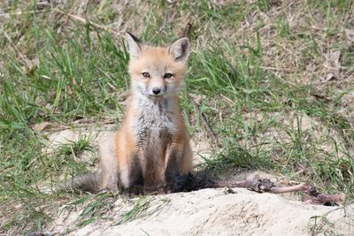 DSC_0954.jpg