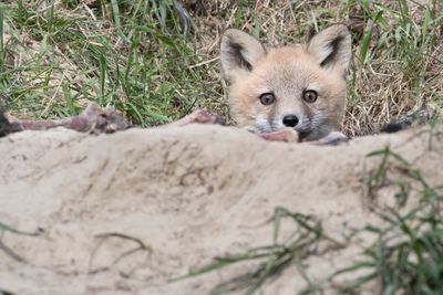 DSC_0979.jpg