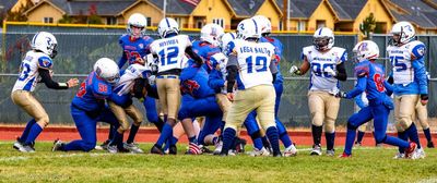 IMG_1781.jpg