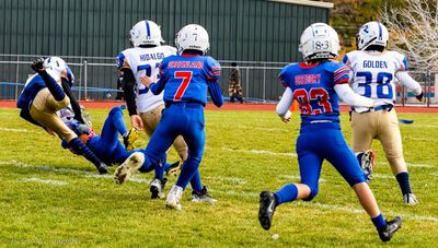 IMG_2156.jpg