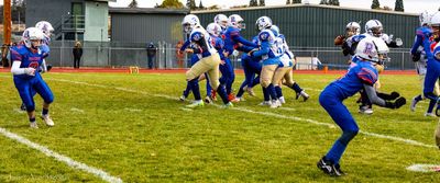 IMG_2273.jpg