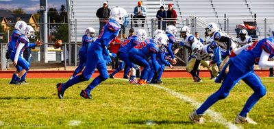 IMG_2424.jpg