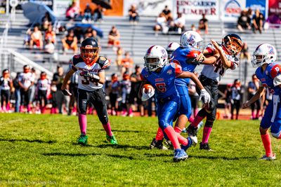 IMG_0098.jpg