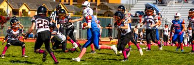 IMG_1028.jpg