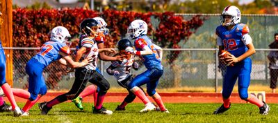 IMG_1291.jpg
