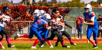 IMG_1293.jpg