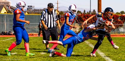 IMG_1377.jpg
