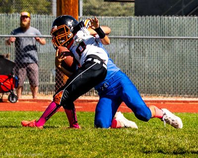 IMG_1468.jpg